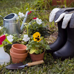 Accesorios para Jardin