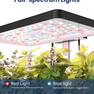 71BzZDDXM2L._AC_SL1500_.jpg 1