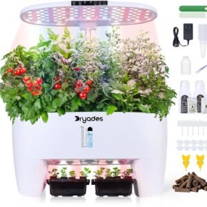 81ZLqen9Q2L._AC_SL1500_.jpg 1