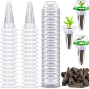 81maz7oMfQL._AC_SL1500_.jpg 1