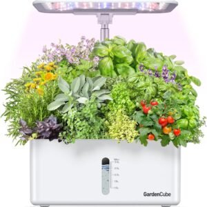 81qYwMZW2hL._AC_SL1500_.jpg 1