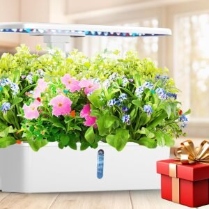 81svBS40FRL._AC_SL1500_-1.jpg 1