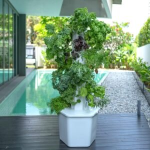 81wWAidMAL._AC_SL1500_.jpg 1